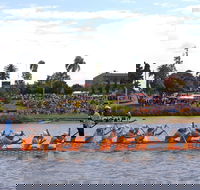 Jacaranda Dragon Boat Races - Accommodation Fremantle