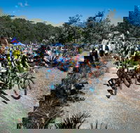 JetBlack Wild Wombat MTB Challenge - Accommodation Fremantle