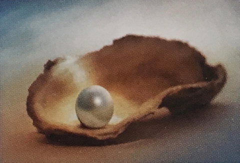Lecture Cancelled:  ADFAS  Lecture (Half-Day) - Patricia Law Speaking On Pearls And Diamonds - Accommodation Fremantle 0
