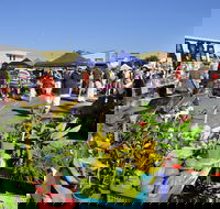 Maclean Community Monthly Markets - Accommodation Fremantle