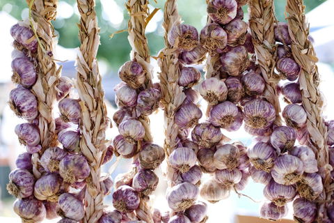 Meeniyan Garlic Festival - Accommodation Fremantle 0