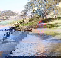 Mountain Man Tri Challenge - Accommodation Fremantle