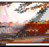 Mullum Circus Festival - Accommodation Fremantle