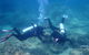 Recovery Of The Great Barrier Reef Expedition - thumb 1
