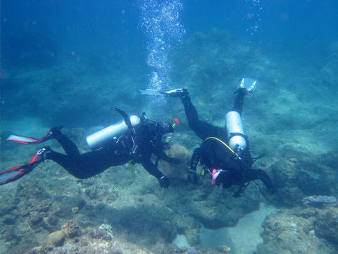 Recovery Of The Great Barrier Reef Expedition - Accommodation Fremantle 1