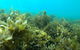 Recovery Of The Great Barrier Reef Expedition - thumb 2