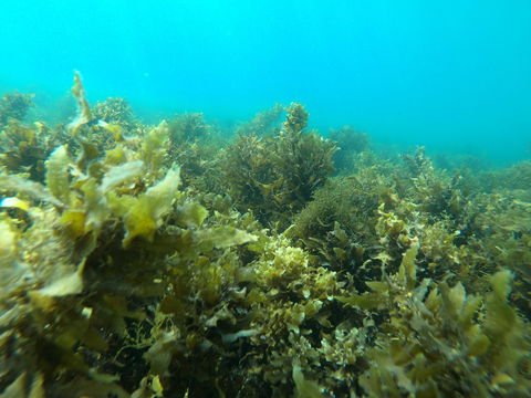 Recovery Of The Great Barrier Reef Expedition - Accommodation Fremantle 2