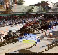 Scone Horse Festival - Accommodation Fremantle