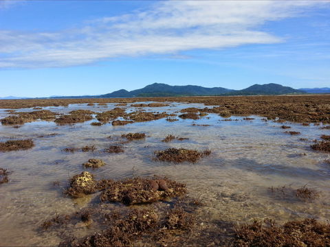 Walk To The Reef - Accommodation Fremantle 0