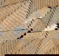 WA Now  Tom Mller Monolith Scores - Virtual Exhibition - Accommodation Fremantle