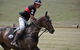Wirragulla Annual Polo Tournament - thumb 0