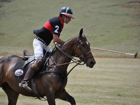 Wirragulla Annual Polo Tournament - Accommodation Fremantle 0