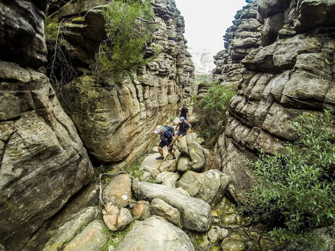Wonderland Run - Accommodation Fremantle 2
