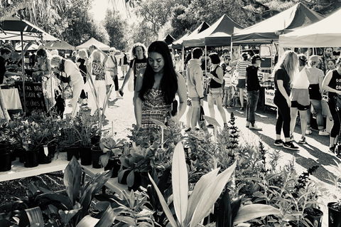 Yamba Farmers And Producers Market - Accommodation Fremantle 0