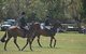 Yankalilla Show - thumb 2