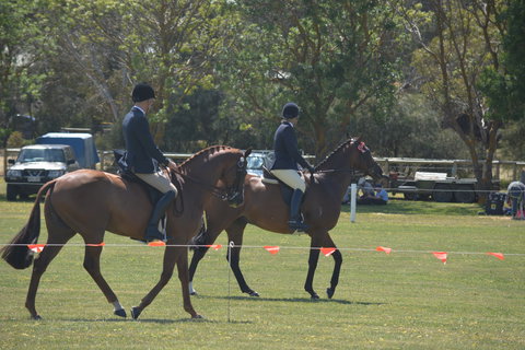 Yankalilla Show - Accommodation Fremantle 2
