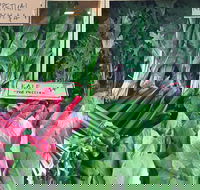 Albury Wodonga Farmers Market - Accommodation Fremantle