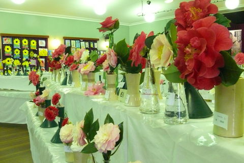 Blackheath Flower And Craft Show - Accommodation Fremantle 1