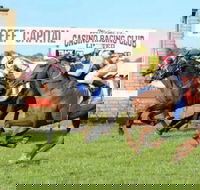 Casino Cup - Accommodation Fremantle