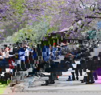 Celtic Festival of Queensland - Accommodation Fremantle