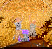 Christmas Lights Spectacular New Year's Eve at Hunter Valley Gardens - Accommodation Fremantle
