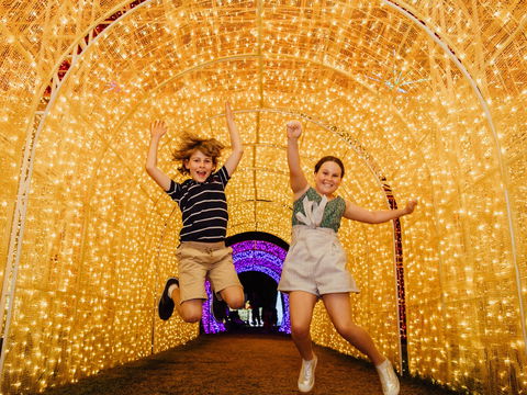 Christmas Lights Spectacular New Year's Eve At Hunter Valley Gardens - Accommodation Fremantle 0