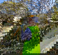 Conservation Volunteers Australia Townsville - Beach Scrub Conservation - Accommodation Fremantle