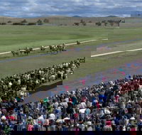 Cooma Sundowners Cup - Accommodation Fremantle