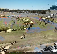 Dogs In the Park Swansea