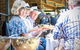 Dungog Festival - thumb 2