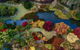 Glenrock Gardens Open Garden - thumb 0