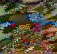 Glenrock Gardens Open Garden - Accommodation Fremantle