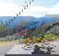 High Country Women's Cycling Festival - Accommodation Fremantle