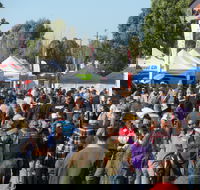 Hunter Valley Caravan Camping 4WD Fish and Boat Show - Accommodation Fremantle