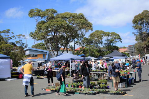 Marine Rescue Ulladulla Wharf Markets - Accommodation Fremantle 1