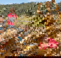 Mini Muddies Obstacle Challenge at Bunnamagoo Estate - Accommodation Fremantle