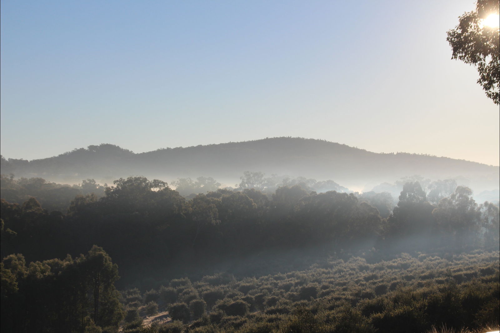 Mullamuddy NSW Accommodation Fremantle