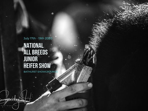 National All Breeds Junior Heifer Show - Accommodation Fremantle 0