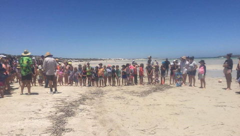 Perlubie Beach Sports Day - Accommodation Fremantle 1
