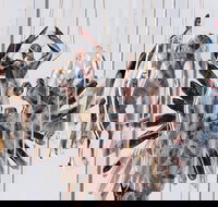 Pulse Perspectives - Accommodation Fremantle