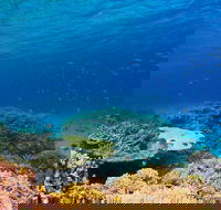 Recovery of the Great Barrier Reef - Accommodation Fremantle