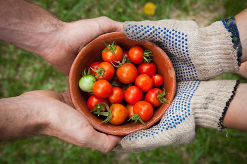 Riverina Producers Market - Accommodation Fremantle 0