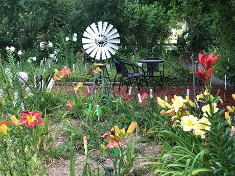 Riverina Iris Farm Open Garden And Iris Display - Accommodation Fremantle 2