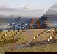 Sculpture Bermagui - Accommodation Fremantle