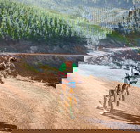 SEVEN - Australia's Premier Gravel Race - Accommodation Fremantle