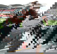 Stadium Stomp Adelaide Oval - Postponed - Accommodation Fremantle