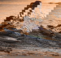 The Bay Games - Jervis Bay - Accommodation Fremantle