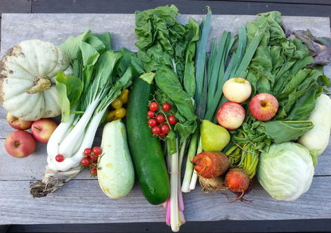 Wingham Farmers Market - Accommodation Fremantle 0