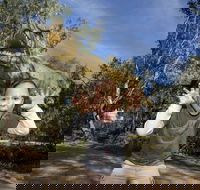 Zoorassic at Werribee Open Range Zoo. - Accommodation Fremantle