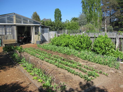 All Season Cold Climate Organic Vegetable Growing - Accommodation Fremantle 1